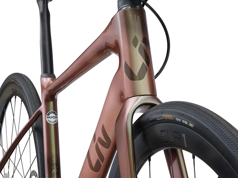 Liv Avail Advanced Pro 1 Road Bike in Messier-7