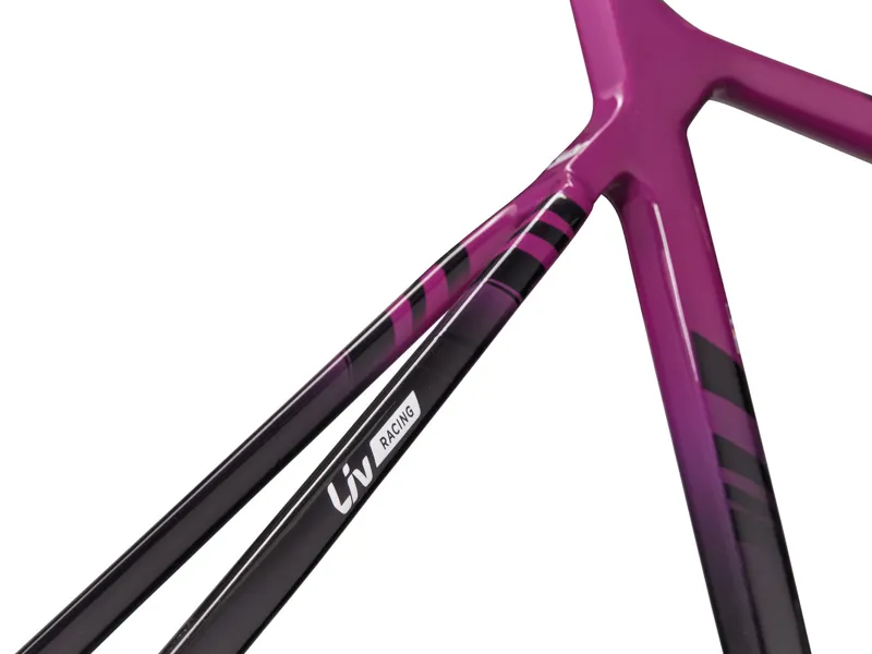 2023 Liv EnviLiv Advanced SL - Aubergine / Carbon - Aero Frameset-6
