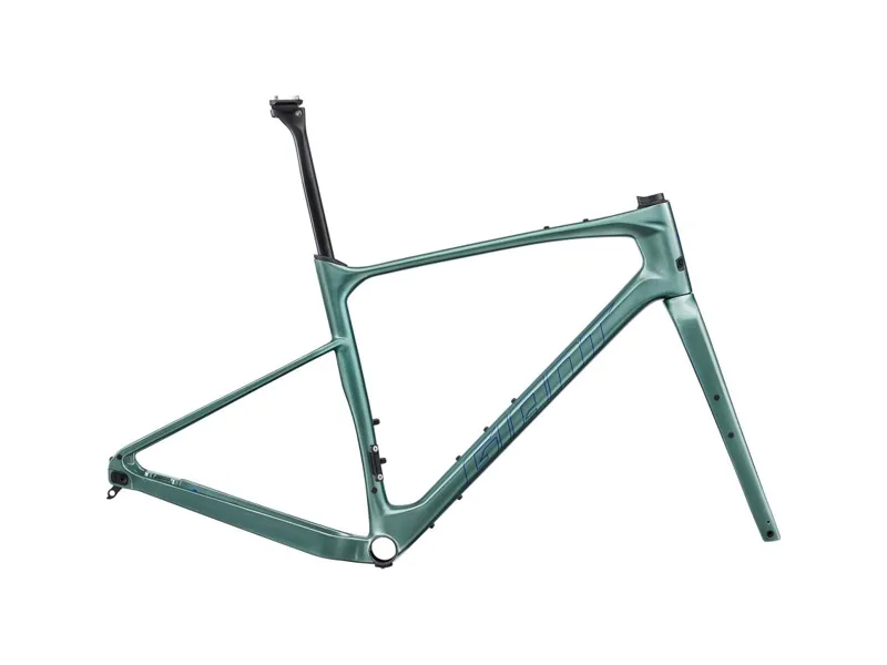 2024 Giant Revolt Advanced Pro Frameset - Misty Forest
