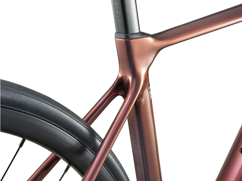 2025 Liv Langma Advanced 1 - 105 Di2 equipped Road Race bike - Gloss Mechanic Rose-3