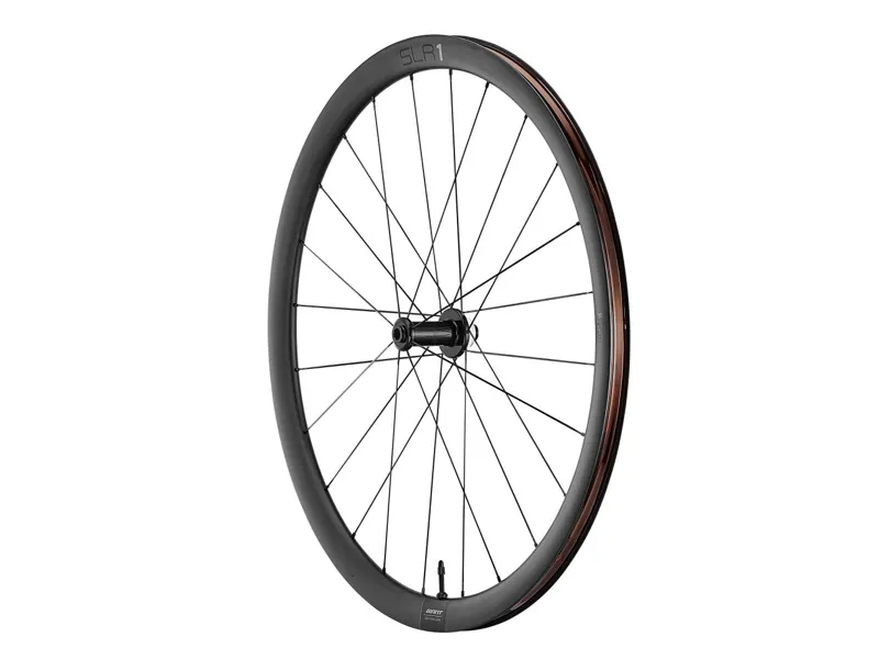 Giant SLR1 36 Tubeless Disc Brake-1