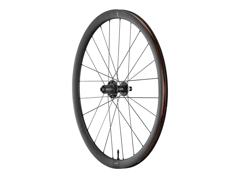 Giant SLR1 36 Tubeless Disc Brake-3