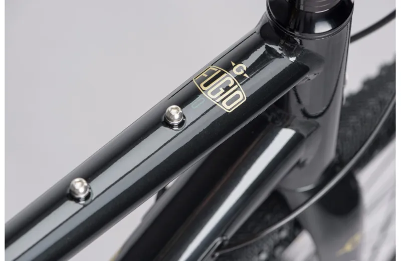 2021 Genesis Fugio 10 Gravel Bike in Green-2