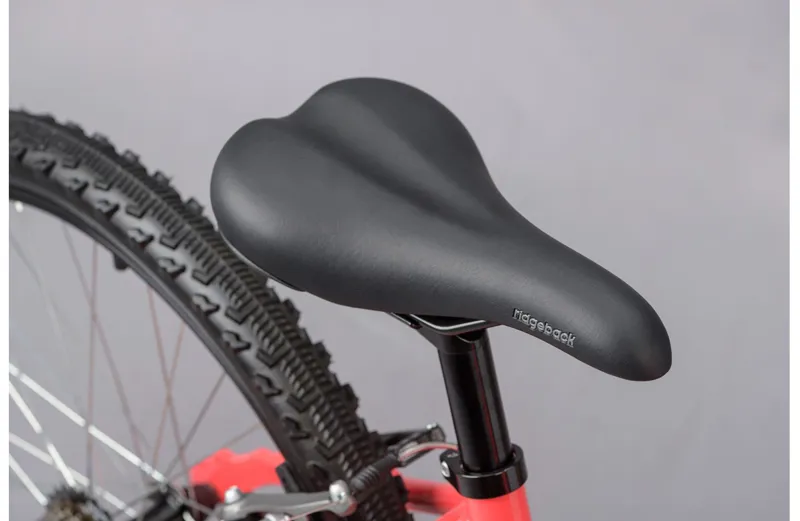 Ridgeback Destiny 24 - 24 Inch Wheel Geared Childrens Bike - Pink-3