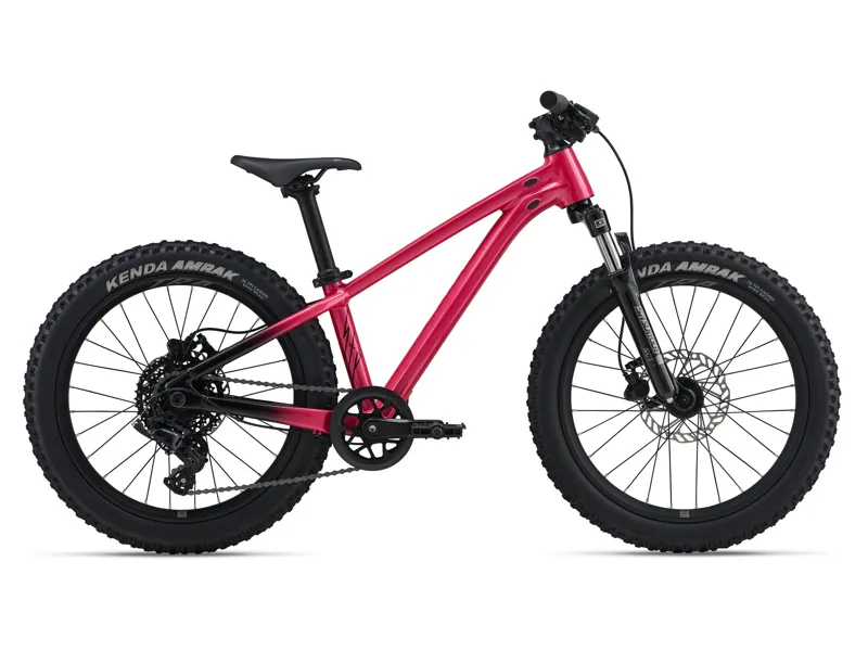 Liv STP 20inch FS Liv kids bike