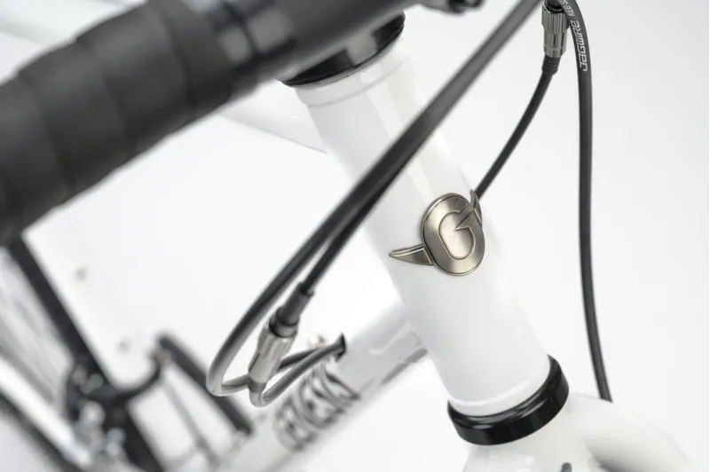 Genesis Croix de Fer 10 - Steel frame Adventure Bike - Whitehouse Family-3