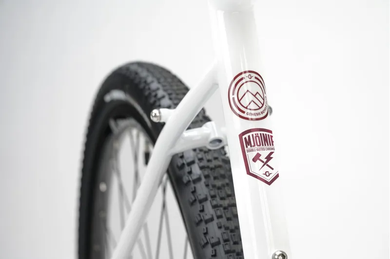 Genesis Croix de Fer 10 - Steel frame Adventure Bike - Whitehouse Family-4