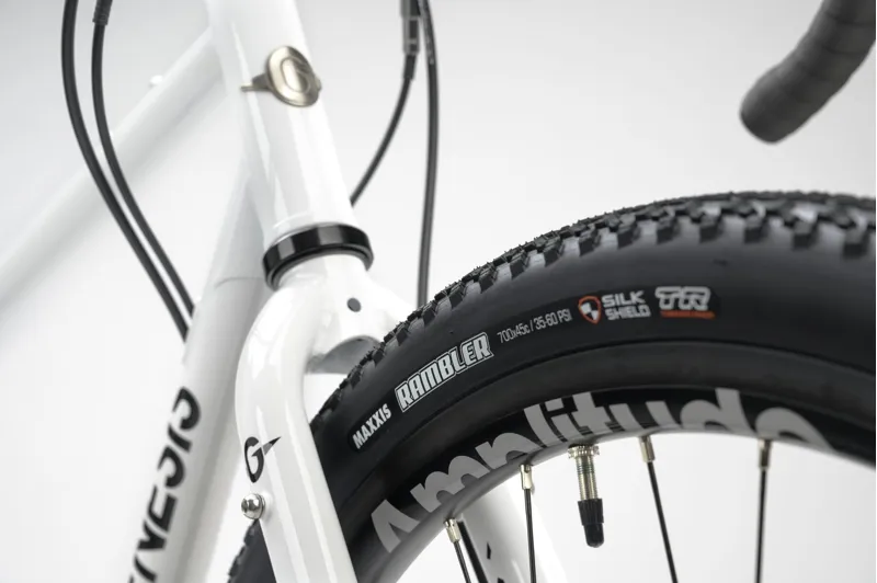 Genesis Croix de Fer 10 - Steel frame Adventure Bike - Whitehouse Family-5