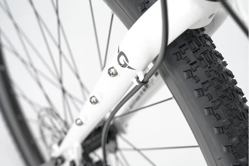 Genesis Croix de Fer 10 - Steel frame Adventure Bike - Whitehouse Family-10