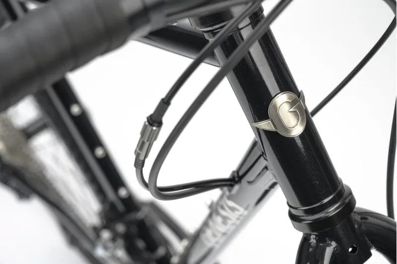 Genesis Croix de Fer 20 - Steel frame Adventure Bike - Burt Bachablack-3