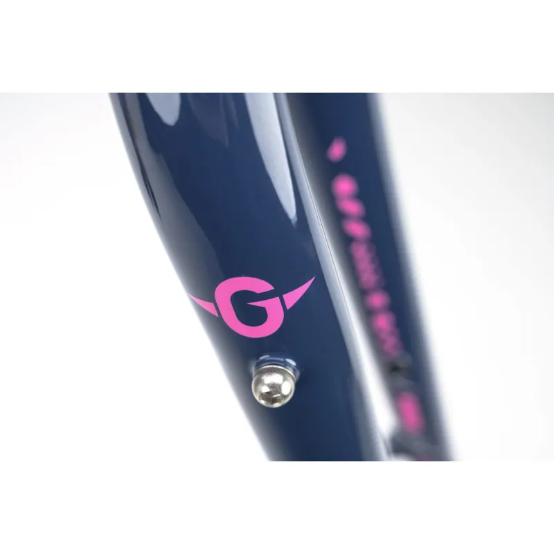 Genesis Croix De Fer 725 - Steel Gravel Frameset - Blue Unlimited-4