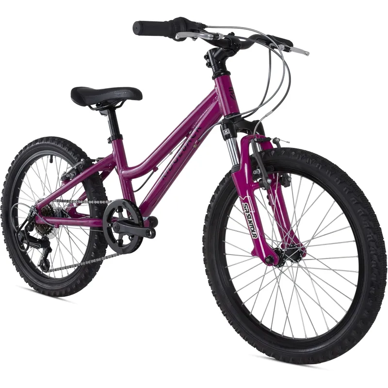Ridgeback Harmony Kids Bike in Purple-1