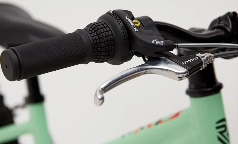 Ridgeback Harmony - 20 Inch Wheel Geared Childrens Bike - Green-2