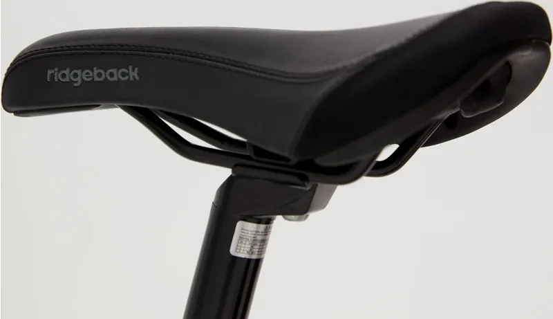 Ridgeback Harmony - 20 Inch Wheel Geared Childrens Bike - Green-6