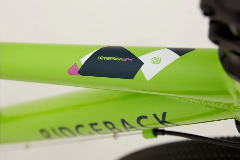 Ridgeback Dimension 24 - 24 Inch Wheel Geared Childrens Bike - Green-4