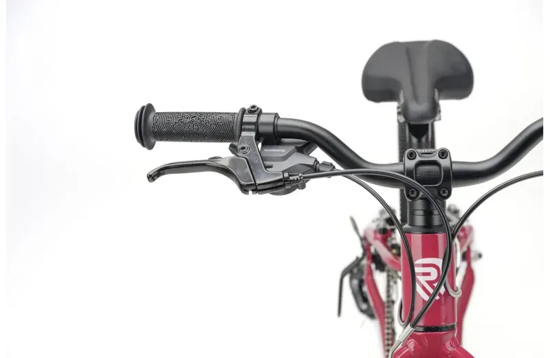 Ridgeback Dimension 20 Kids Bike in Perfectly Plum-3