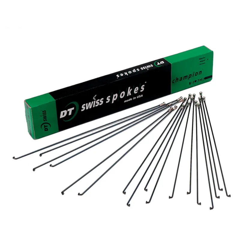 DT Swiss Champion 100-pack Silver Spokes - 2x289mm