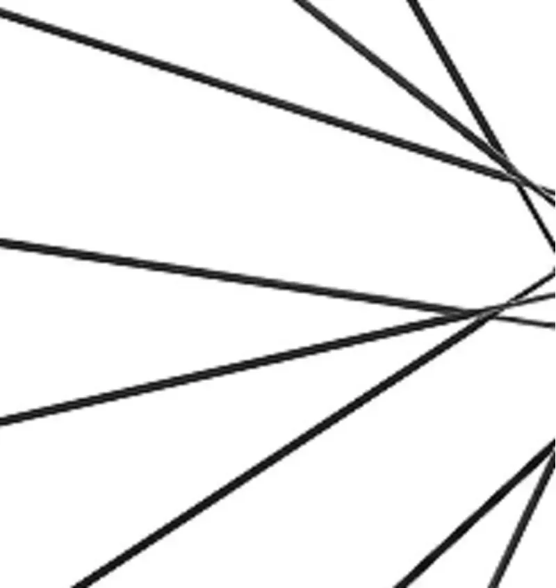 Giant SLR 0 4-pack 276.5mm Carbon Spokes in Black/Carbon-1