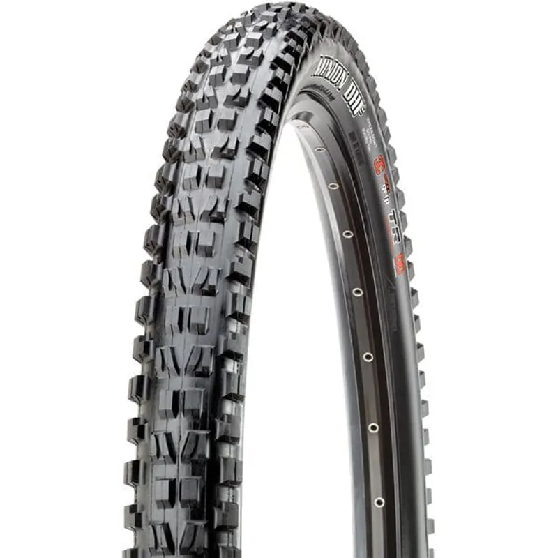 Maxxis Minion DHF2 EXO DC Tyre